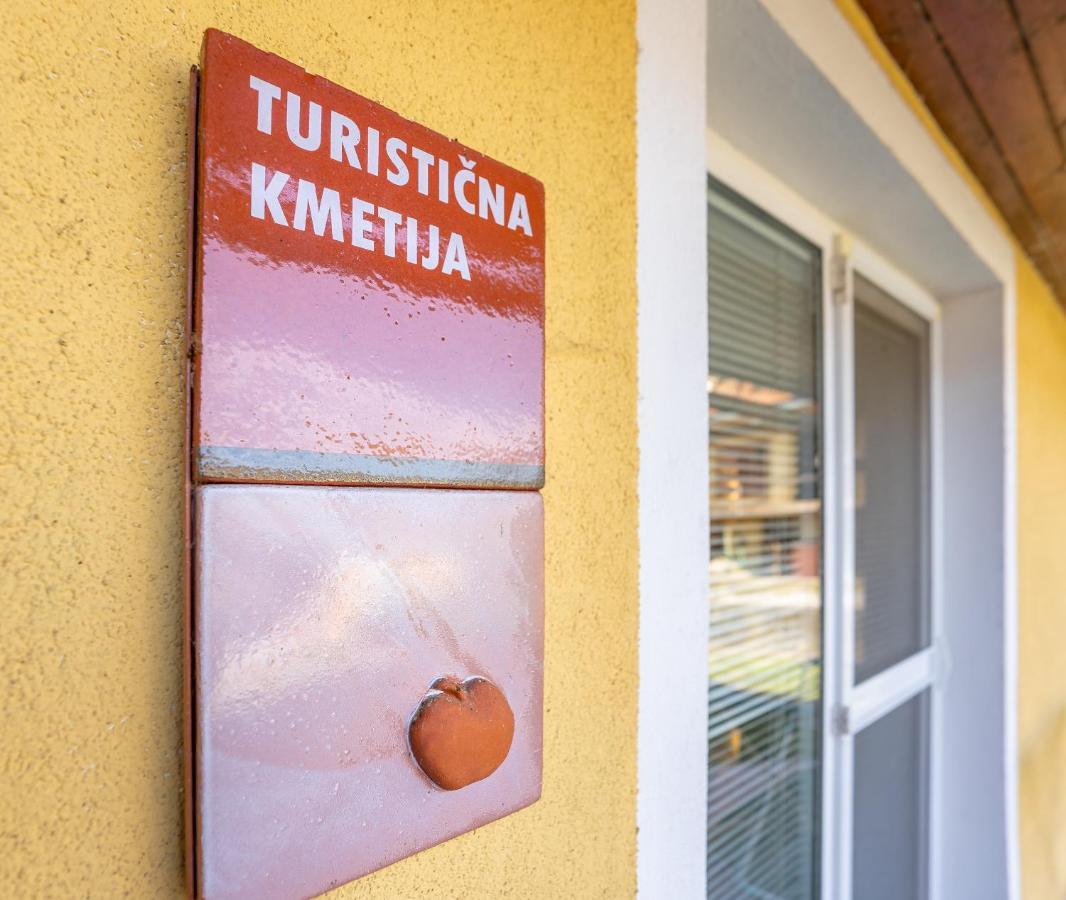 Fortun Estate - Apartmaji Ob Reki Kolpi Metlika Bagian luar foto
