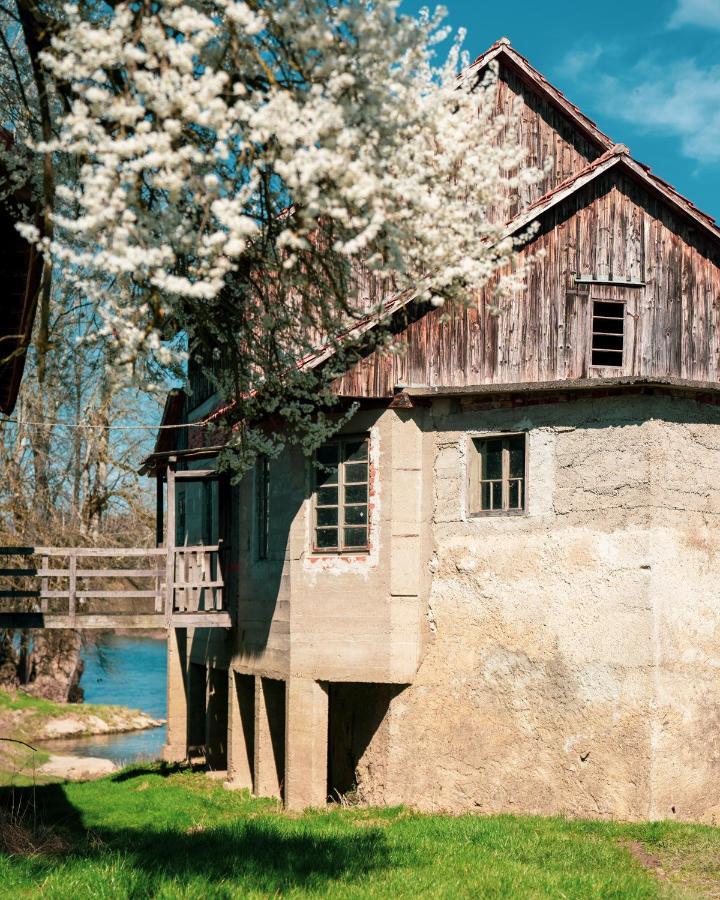 Fortun Estate - Apartmaji Ob Reki Kolpi Metlika Bagian luar foto